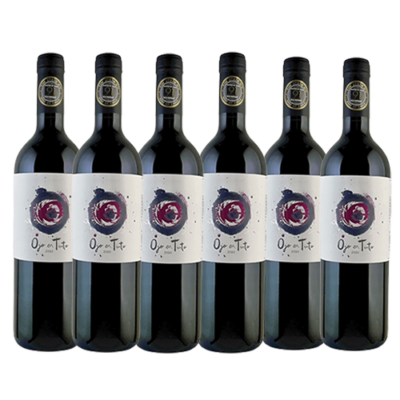 Caja 6 unidades Ojo en Tinto Carmenere 2021