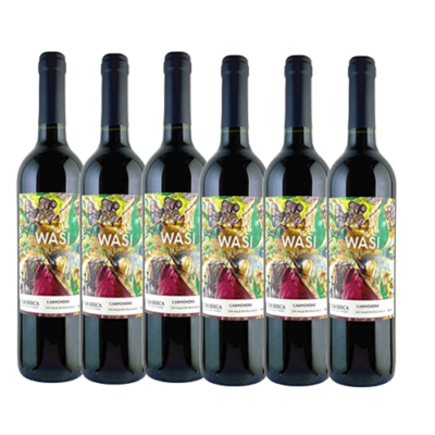 carmenere wasi